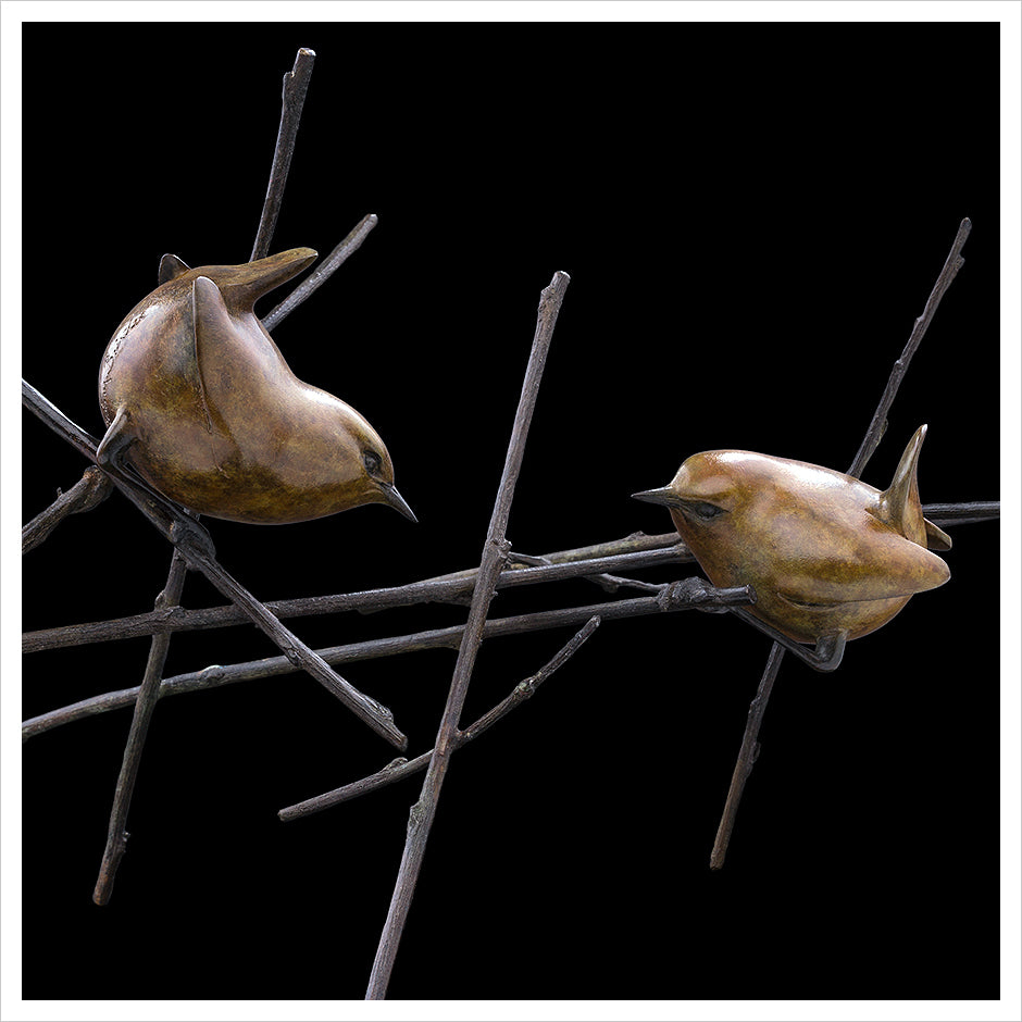 Two Wrens on Twigs by Adam Binder