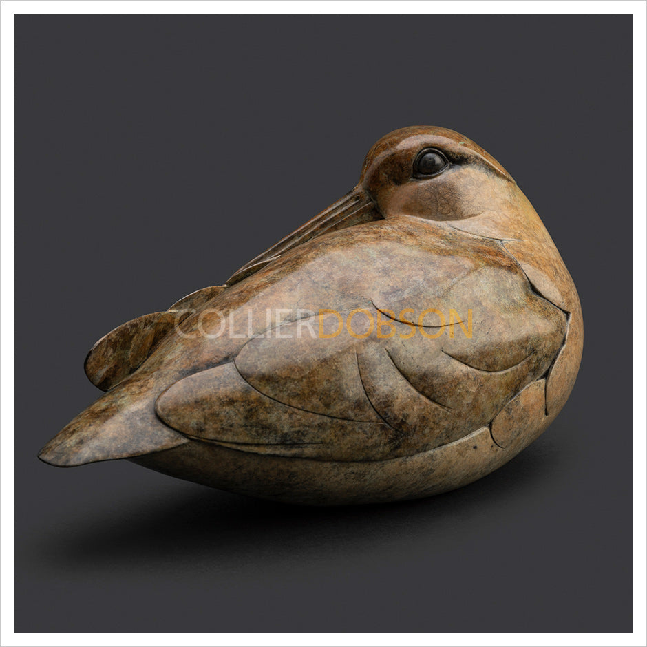 Woodcock by Adam Binder