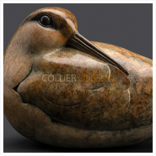 Woodcock by Adam Binder