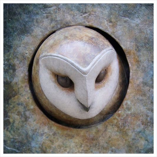 Barn Owl Plaque by Adam Binder