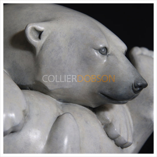 Roly Poly Polar Bear by Adam Binder