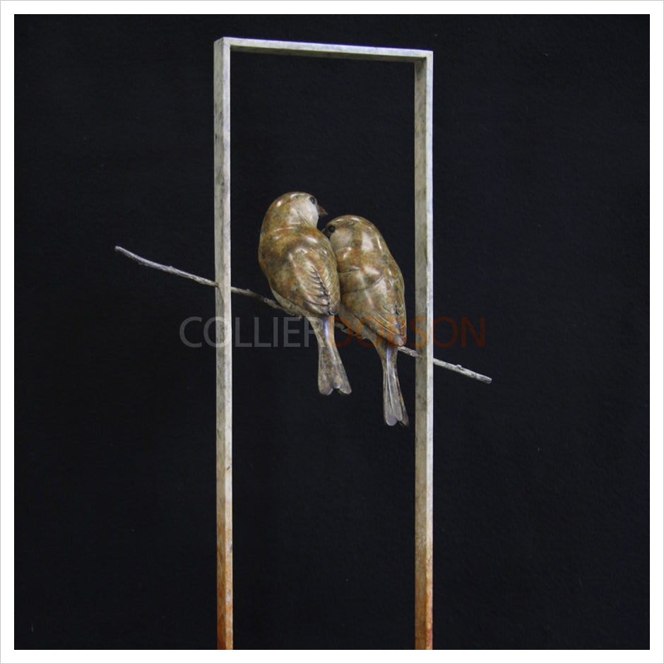 Sparrows in Frame by Adam Binder