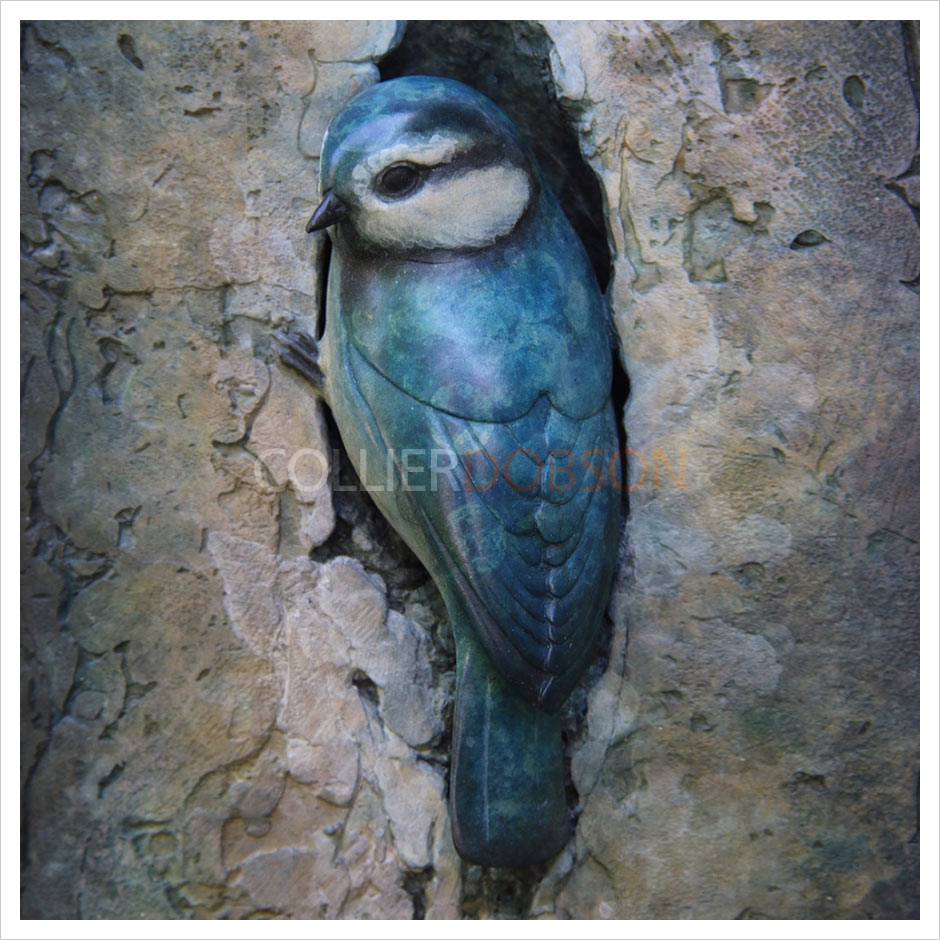 Long Blue Tit Plaque by Adam Binder