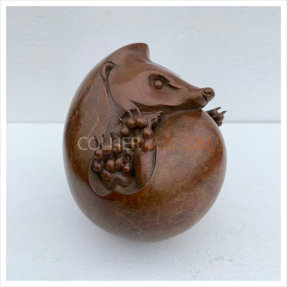 Hedgehog V by Adam Binder