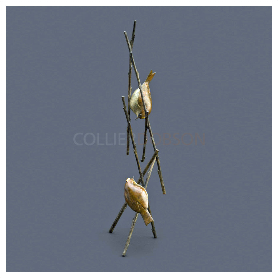 Goldcrests by Adam Binder