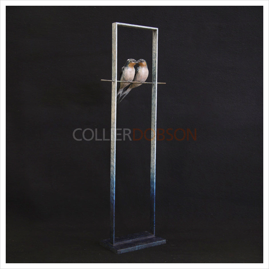 Swallows in a Frame by Adam Binder