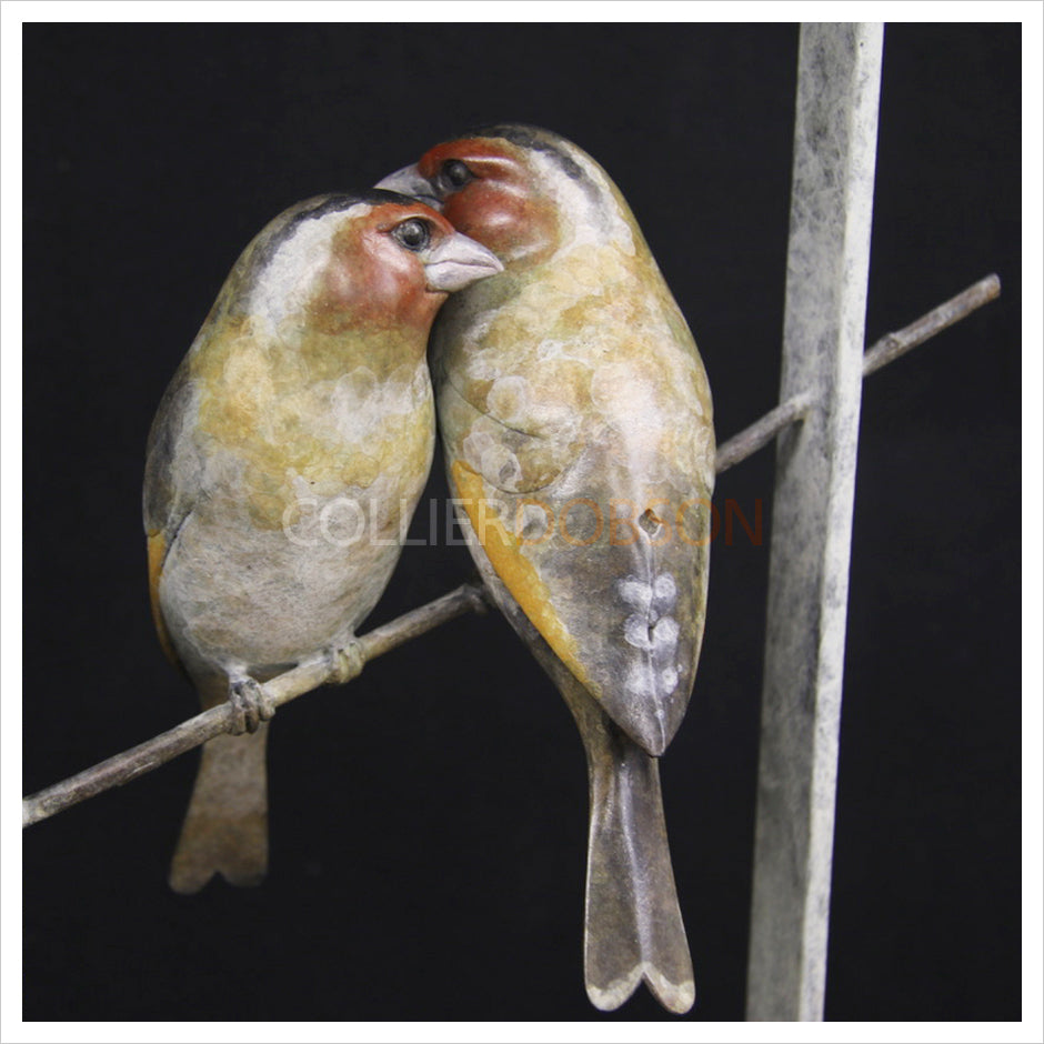 Goldfinches in a Frame by Adam Binder