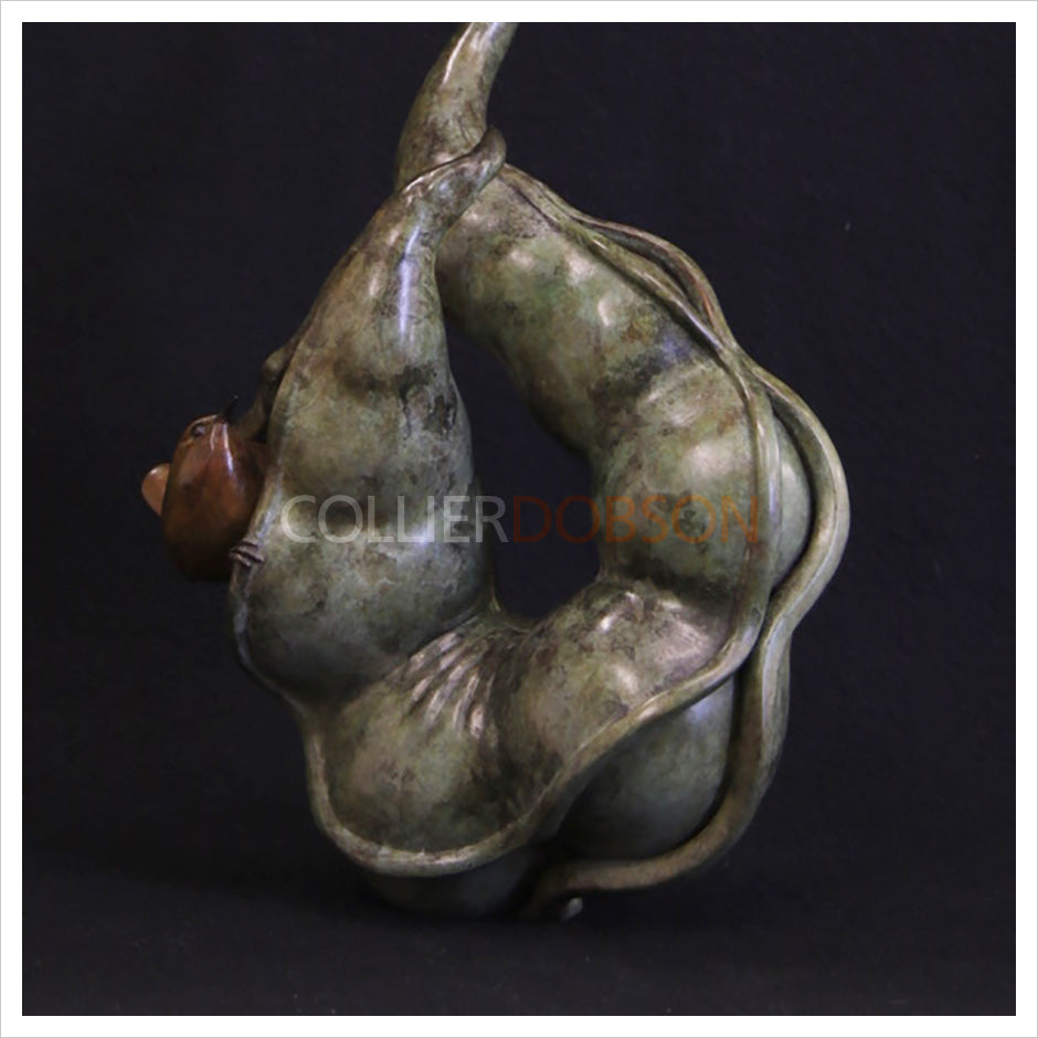 Wren in a Pod by Adam Binder