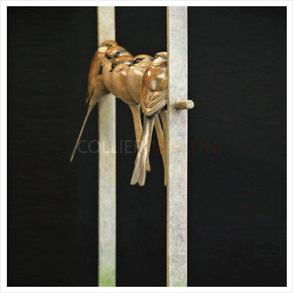 Five Long Tail Tits in a Frame by Adam Binder