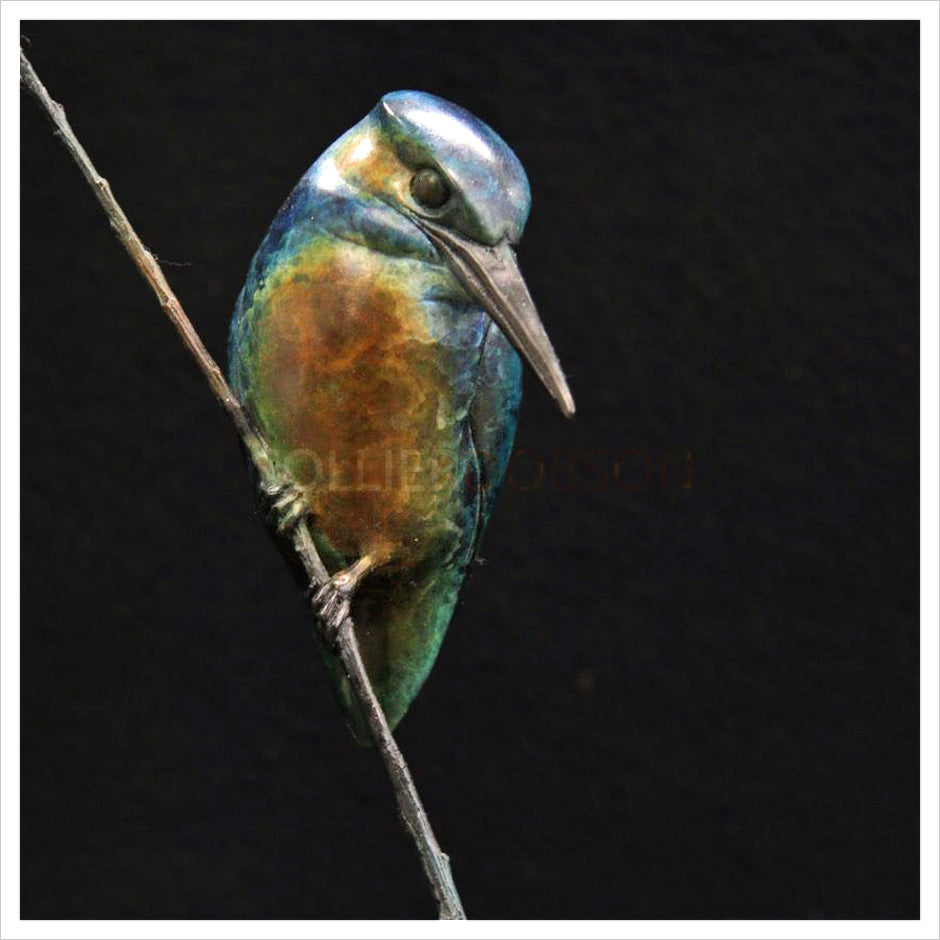 Kingfisher in a Frame by Adam Binder