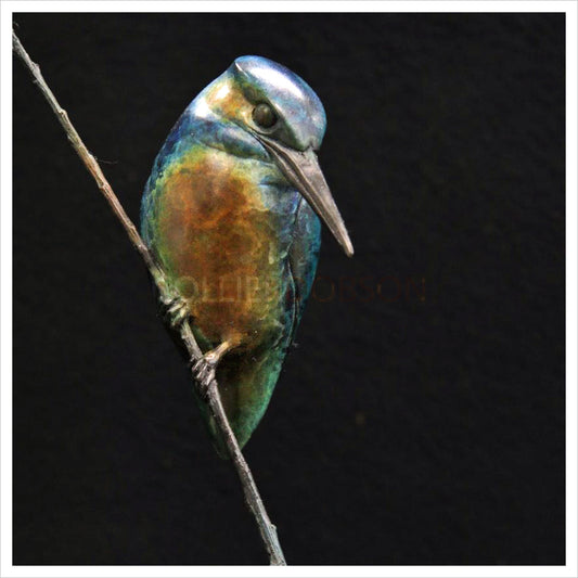 Kingfisher in a Frame by Adam Binder