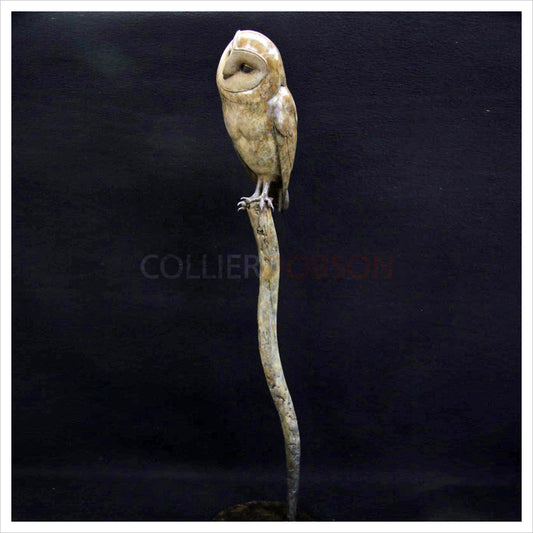 Barn Owl III by Adam Binder