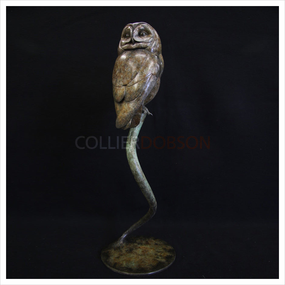 Tawny Owl II by Adam Binder