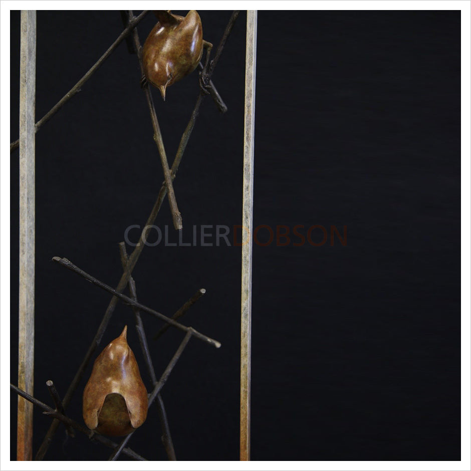 Wrens in Frame by Adam Binder