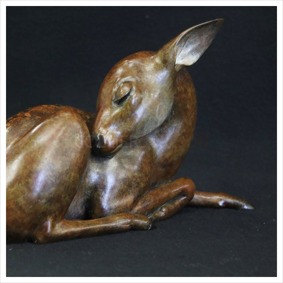 Fawn II by Adam Binder