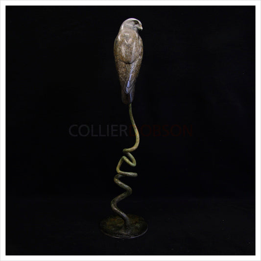 Kestrel by Adam Binder