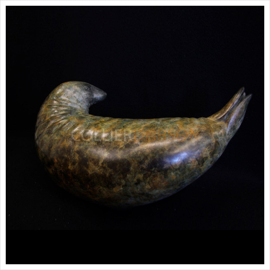 Grey Seal by Adam Binder