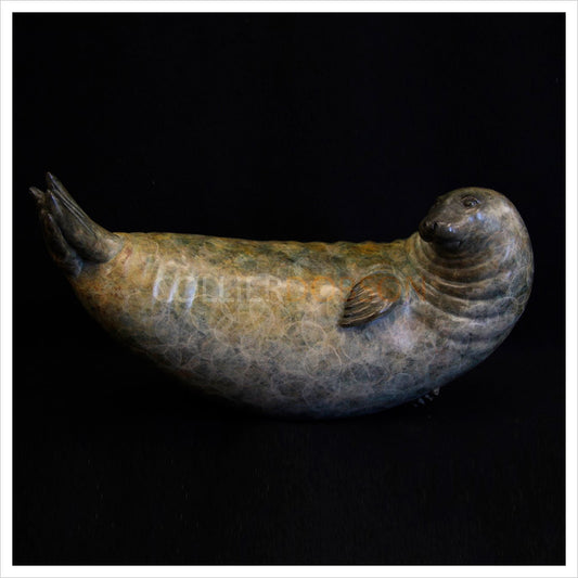 Grey Seal by Adam Binder