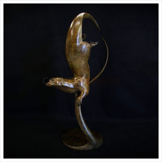 Coln Otter by Adam Binder