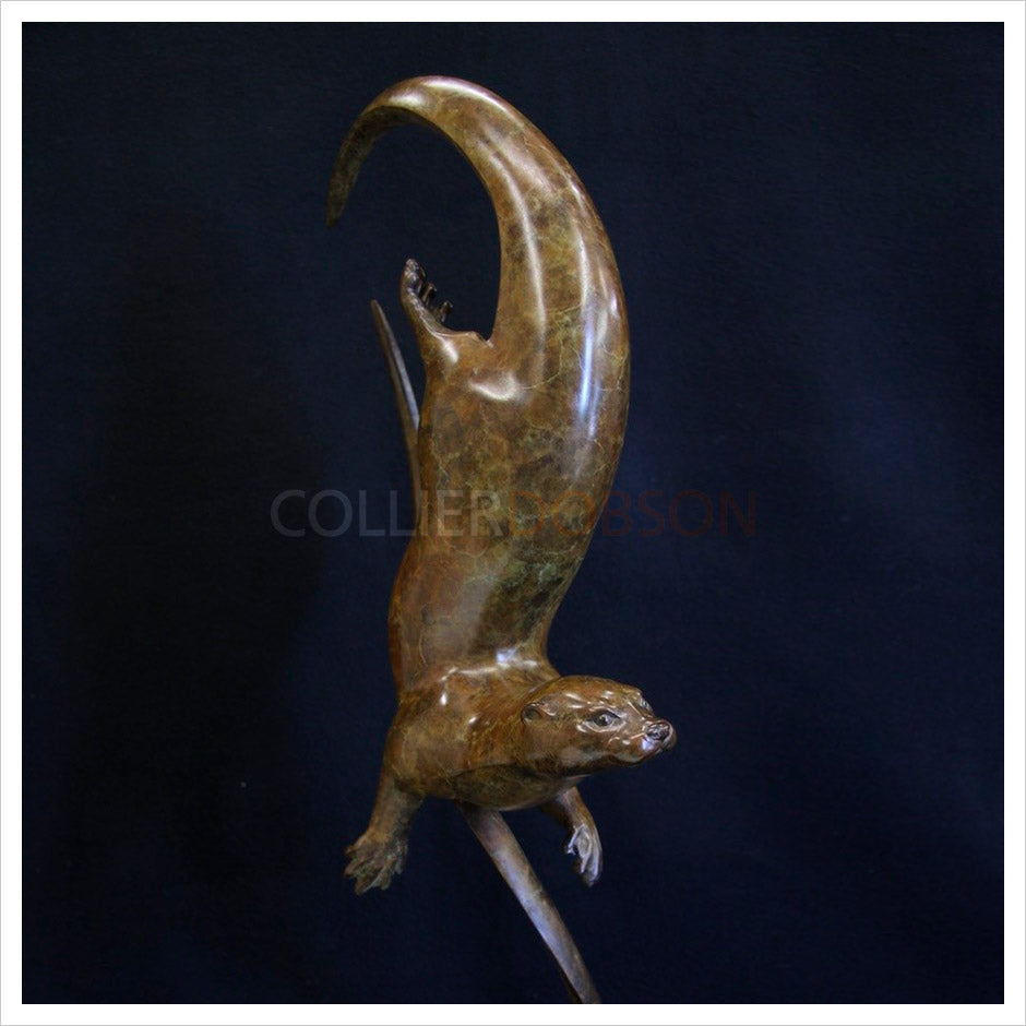 Coln Otter by Adam Binder