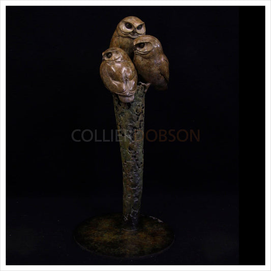 Little Owls by Adam Binder