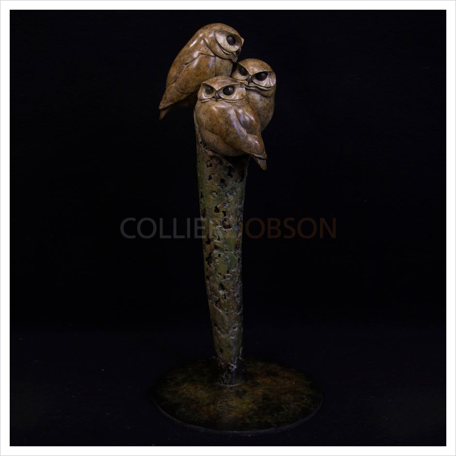 Little Owls by Adam Binder