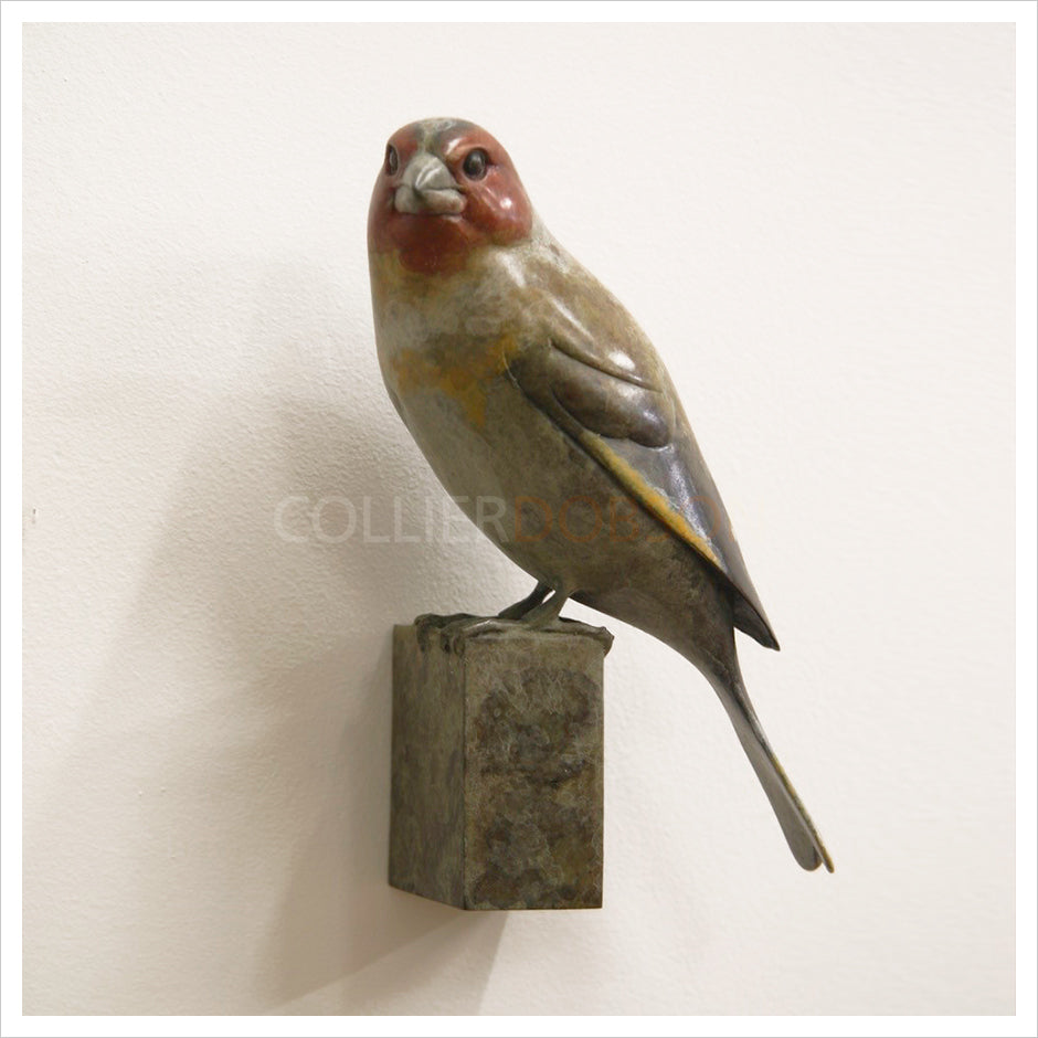 Wall Mounted Goldfinch by Adam Binder