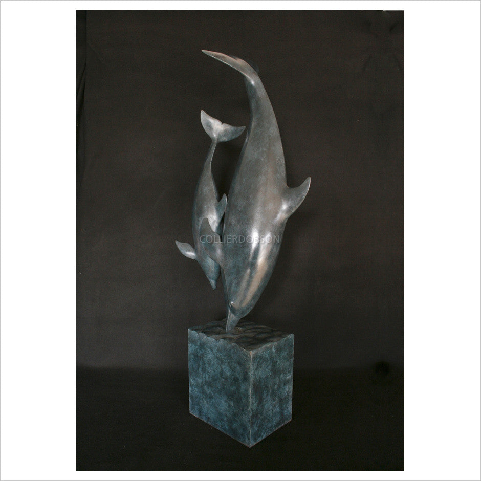 Dolphins by Adam Binder