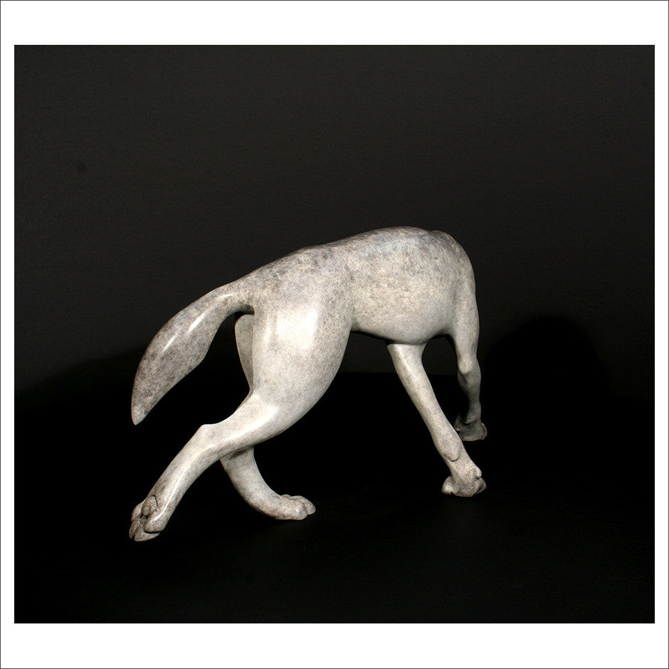 Arctic Wolf