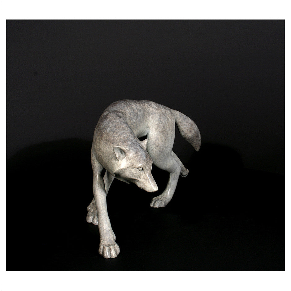 Arctic Wolf
