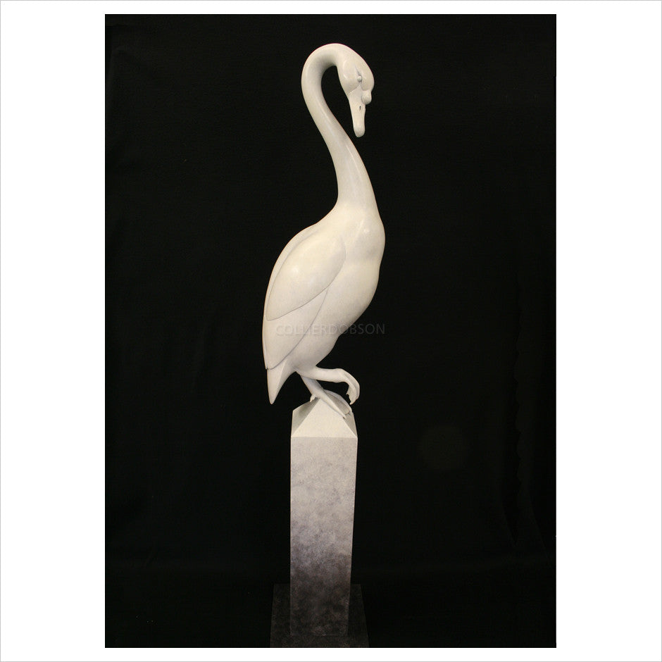 Dancing Swan by Adam Binder