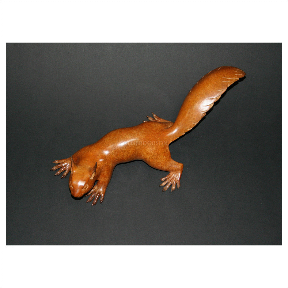 Squirrel by Adam Binder