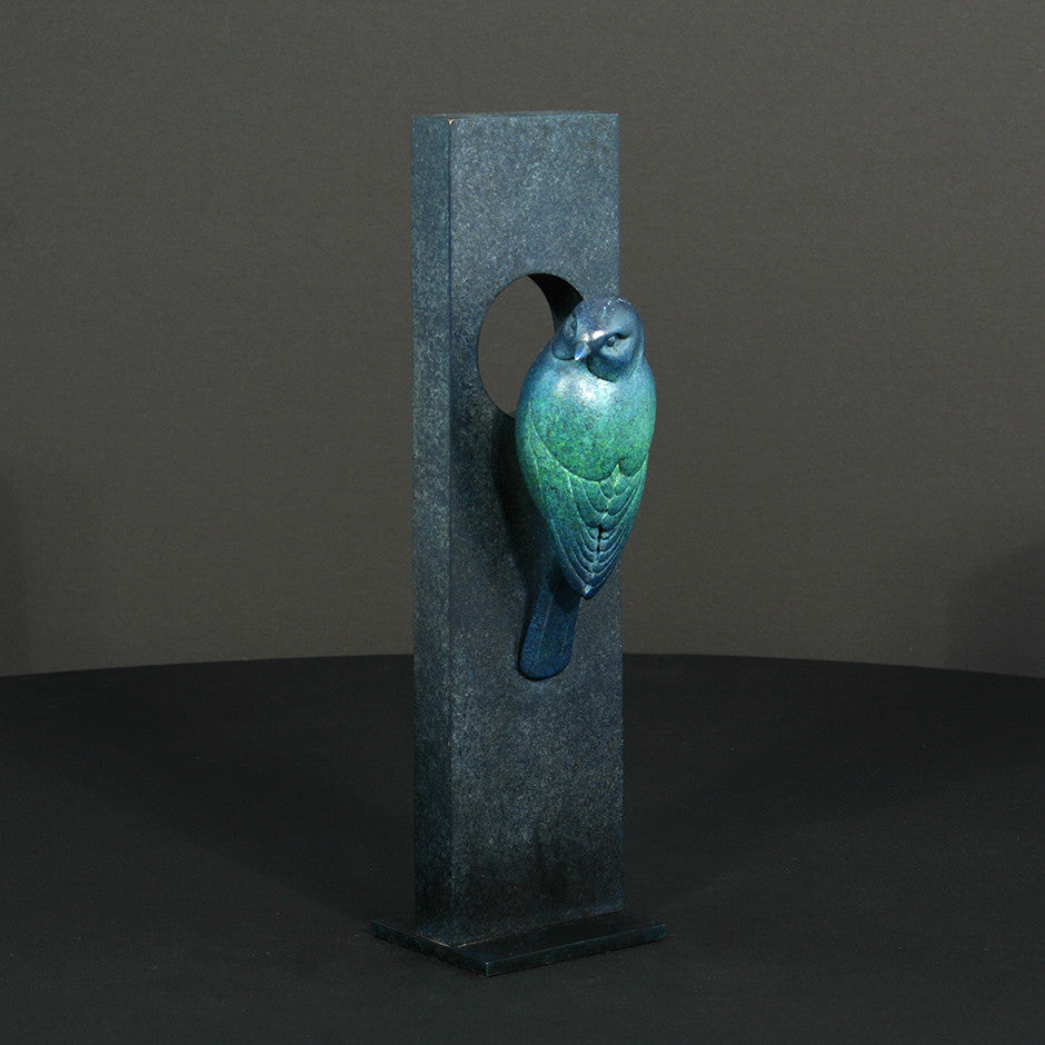 Blue Tit by Adam Binder