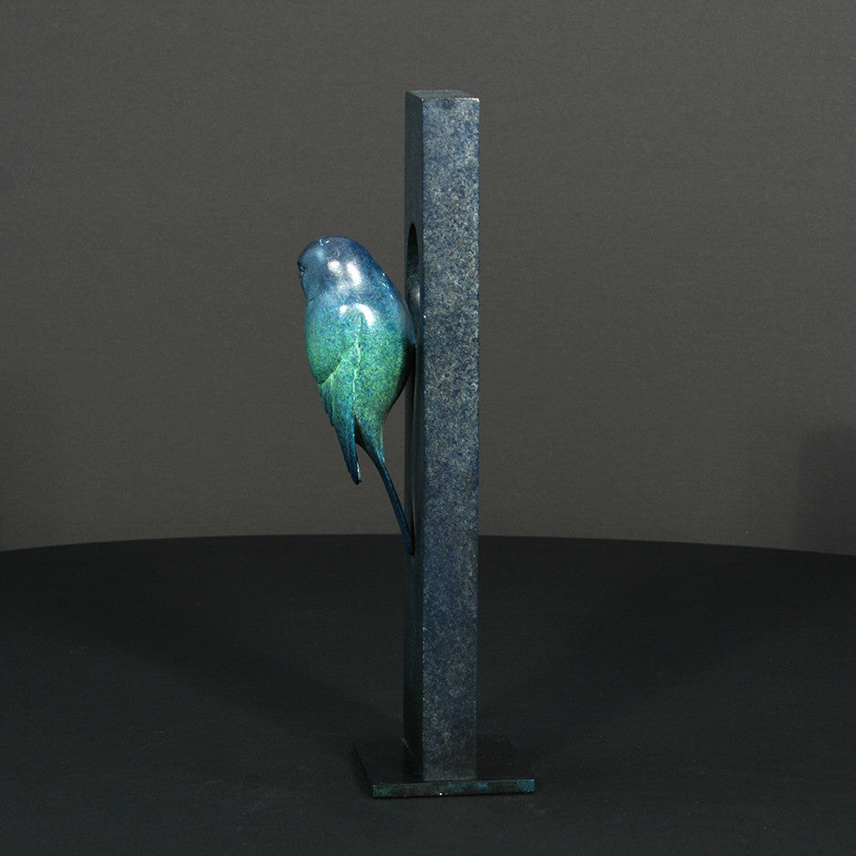 Blue Tit