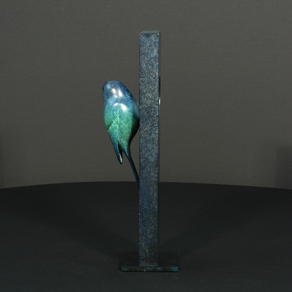 Blue Tit