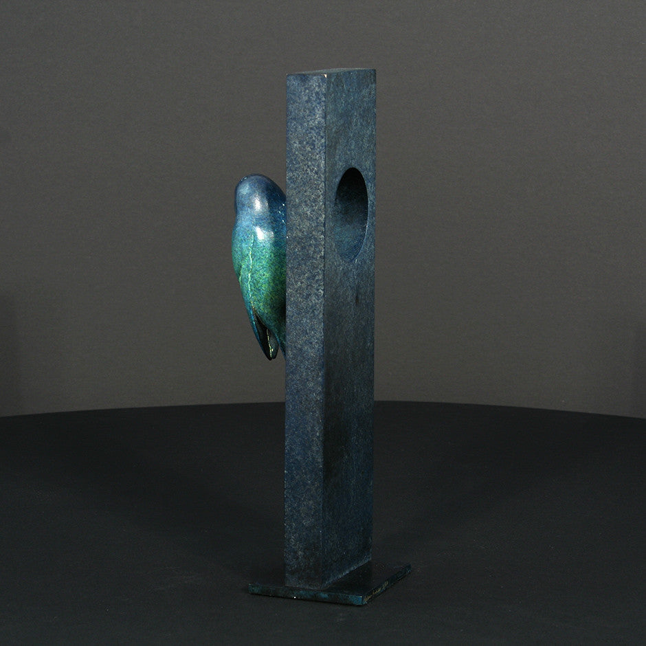 Blue Tit