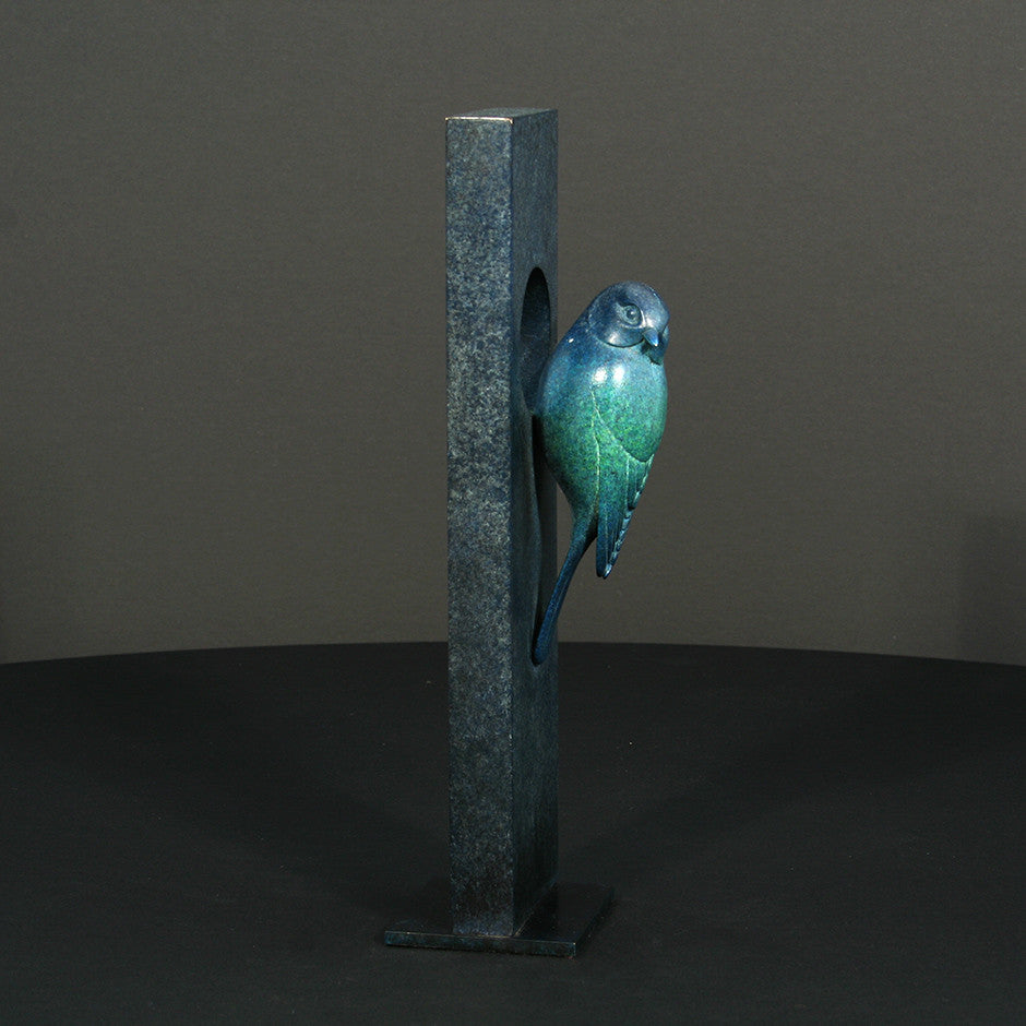 Blue Tit