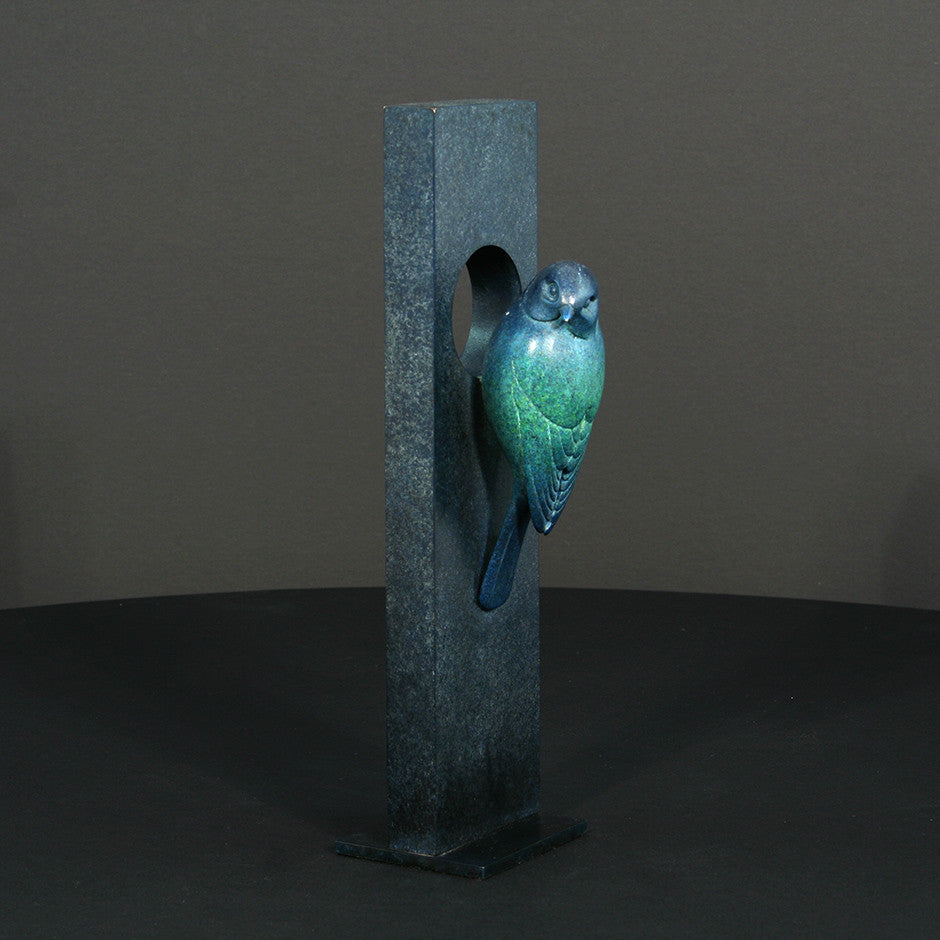 Blue Tit