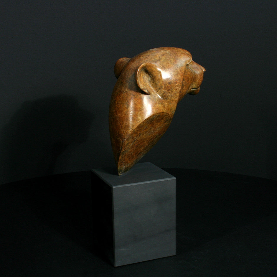 Cheetah Head