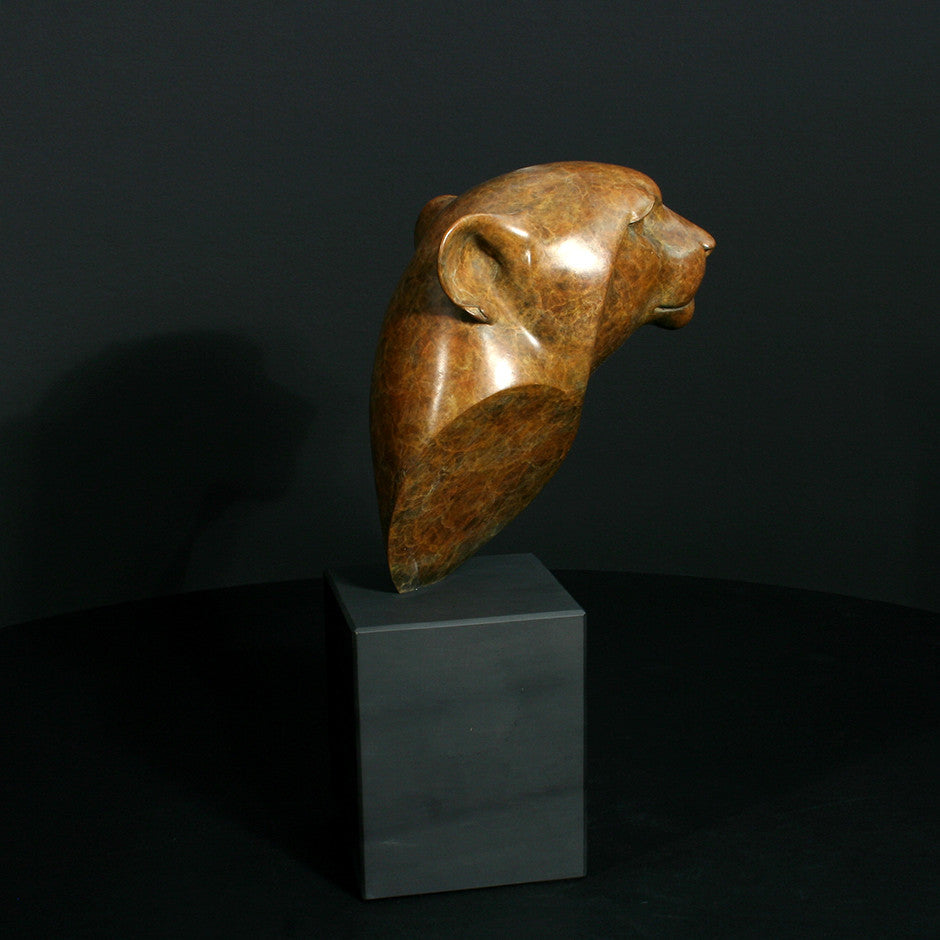 Cheetah Head