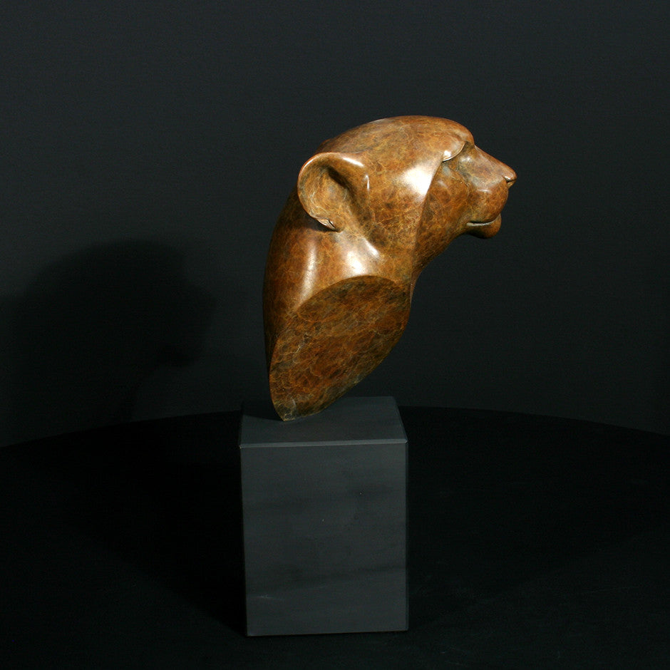 Cheetah Head