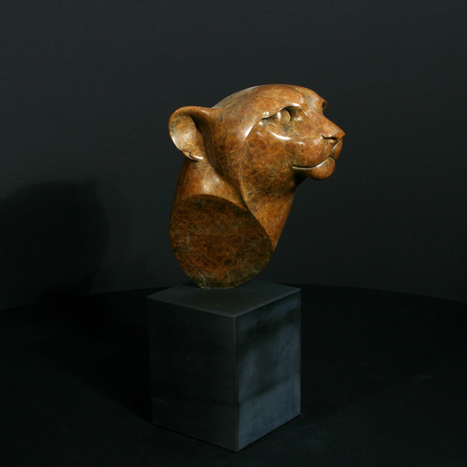 Cheetah Head