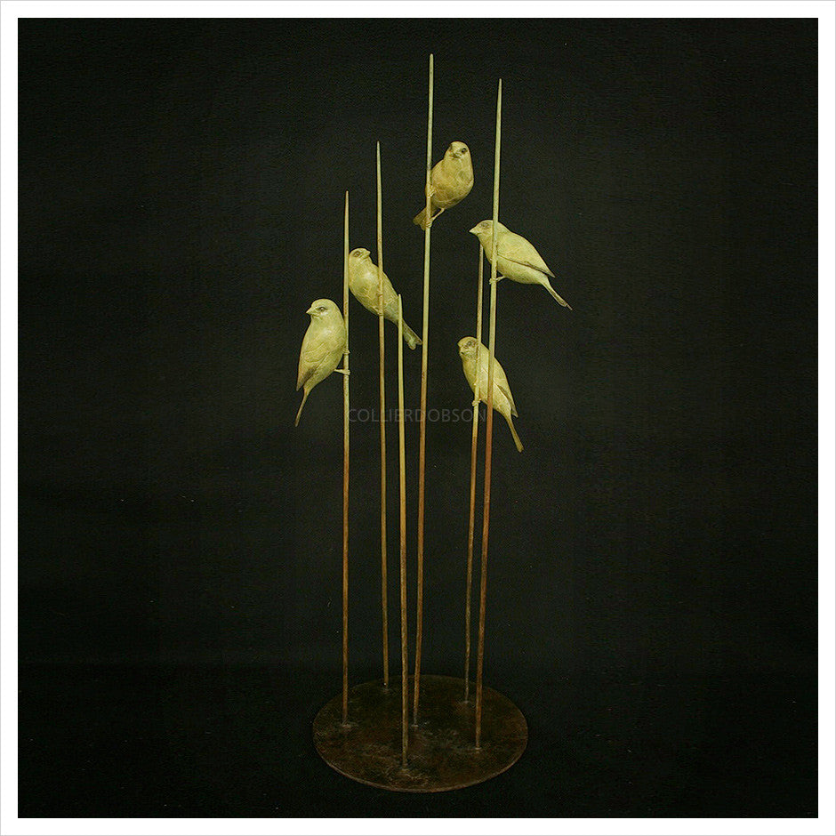 Greenfinches by Adam Binder