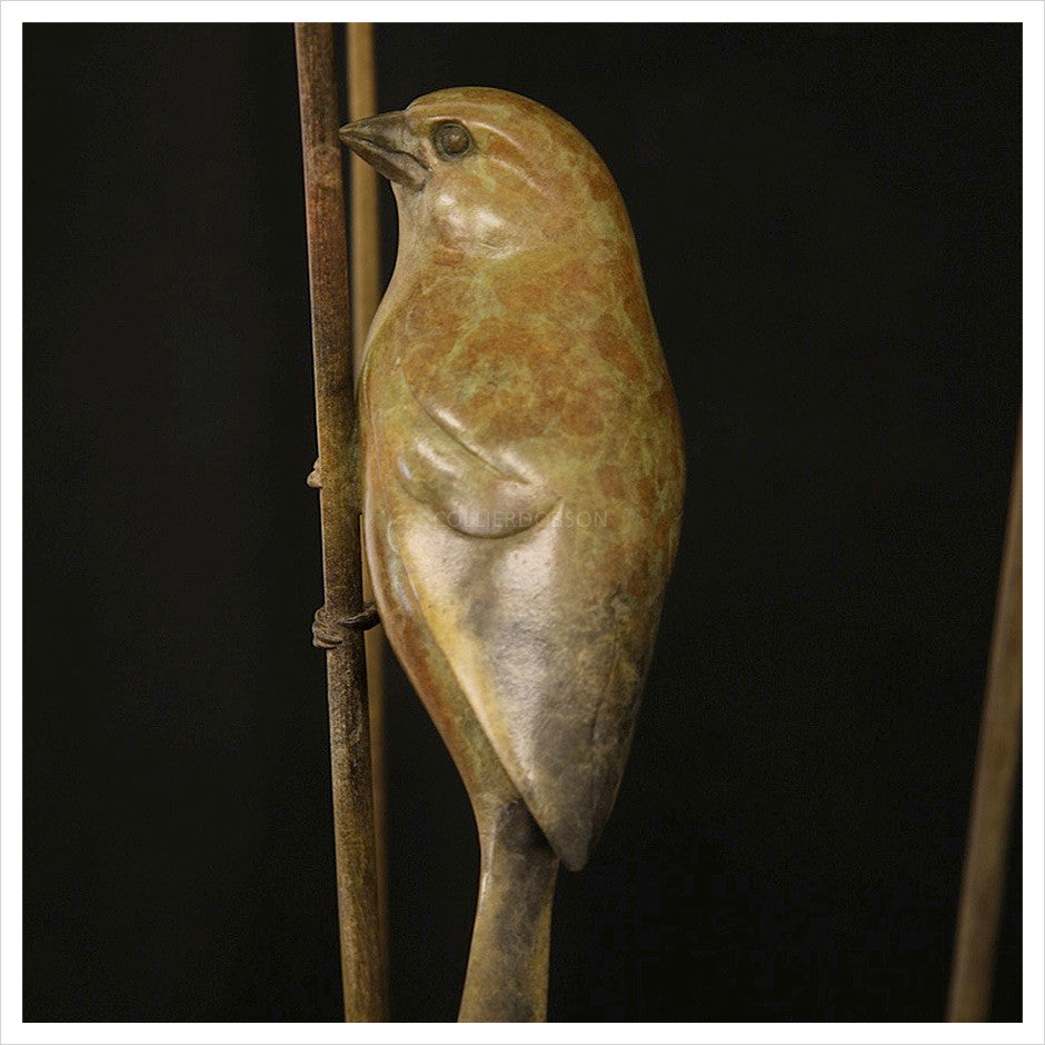 2 Greenfinches by Adam Binder