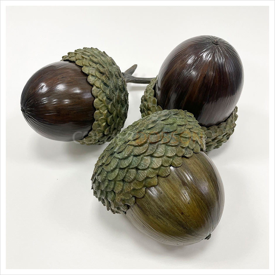 Acorn I, Acorn II, and Acorn III by Adam Paddon