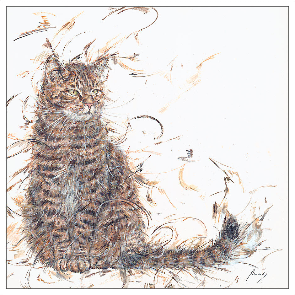 Here's Looking at You by Aaminah Snowdon