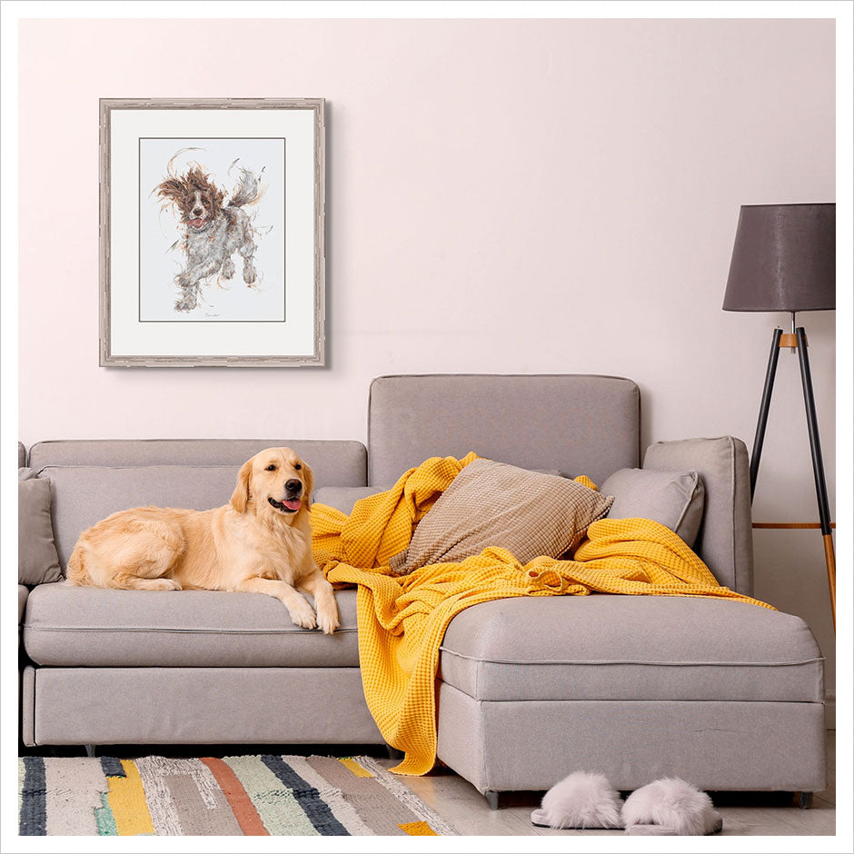 Bounder by Aaminah Snowdon