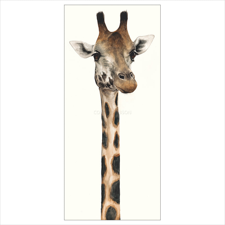 Tall, Dappled and Handsome by Dominique Salm