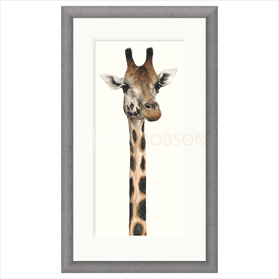 Tall, Dappled and Handsome by Dominique Salm