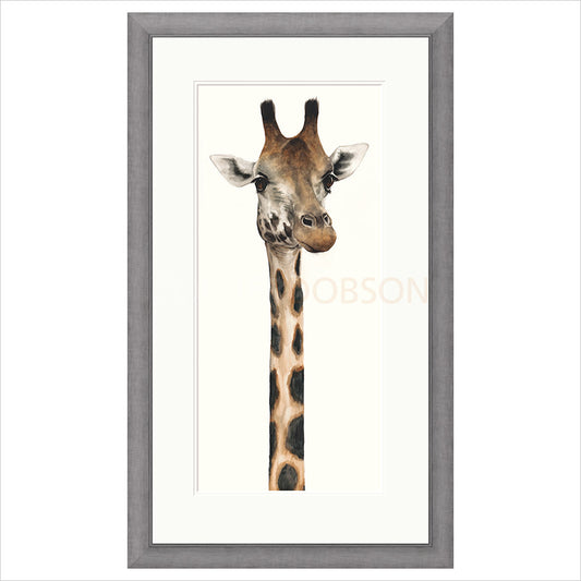 Tall, Dappled and Handsome by Dominique Salm